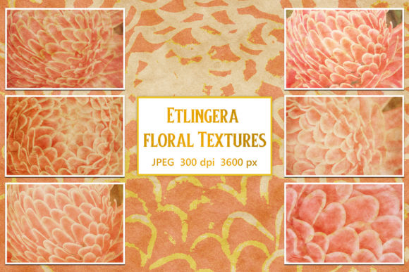 Download Etlingera Floral Textures - Floral textures Collection