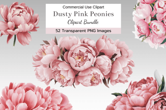 Download Dusty Pink Peony Clipart Bundle - Premium Bundle